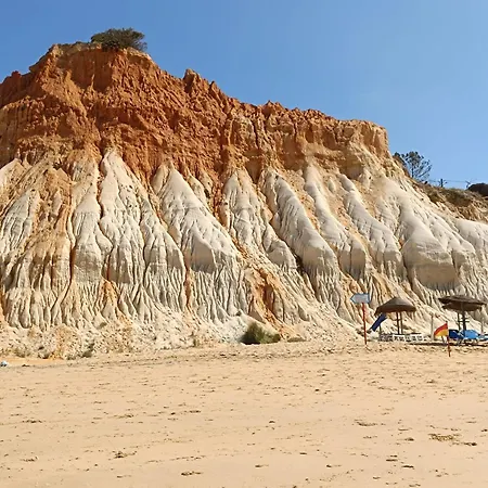 公寓 Casa Do Algarve 阿尔布费拉